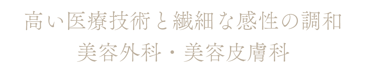 高い医療技術と繊細な感性の調和美容外科・美容皮膚科